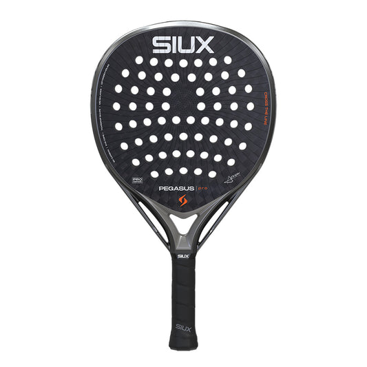 Siux Pegasus Pro 2026 Storm Grey